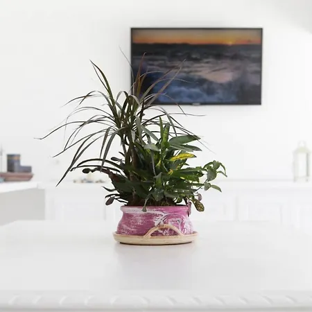 The Mykonist Anamar Blu Hotel 4*